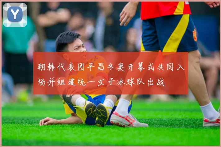 朝韩代表团平昌冬奥开幕式共同入场并组建统一女子冰球队出战