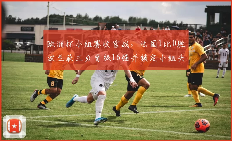 欧洲杯小组赛收官战，法国1比0胜波兰获三分晋级16强并锁定小组头名