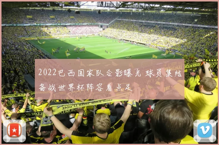 2022巴西国家队合影曝光 球员集结备战世界杯阵容看点足