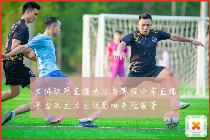 女排欧冠直播地址与赛程公布直播平台及主力出场影响夺冠前景