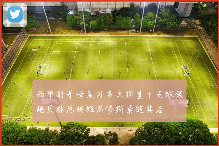 西甲射手榜莱万多夫斯基十五球领跑贝林厄姆维尼修斯紧随其后