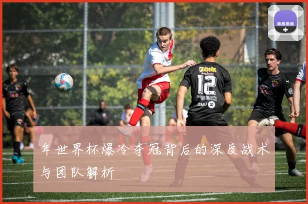 年世界杯爆冷夺冠背后的深度战术与团队解析