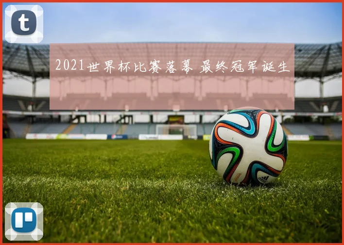 2021世界杯比赛落幕 最终冠军诞生