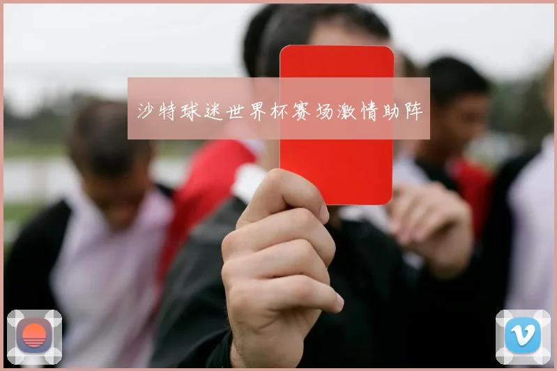 沙特球迷世界杯赛场激情助阵