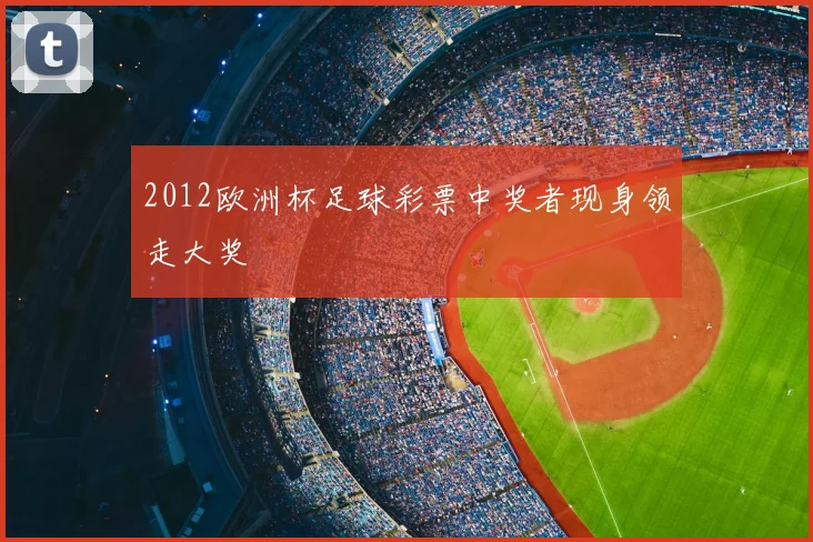 2012欧洲杯足球彩票中奖者现身领走大奖